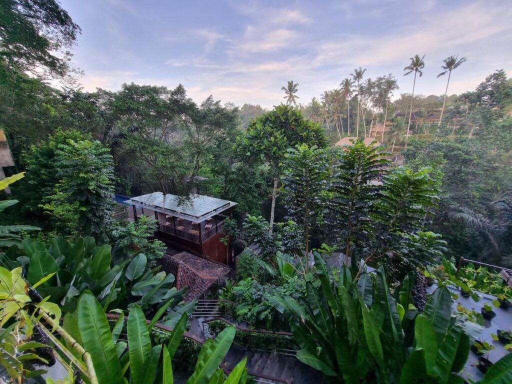 best luxury hotels in ubud