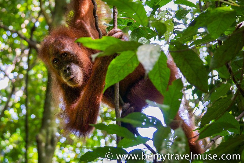 best places to visit in September Indonesia