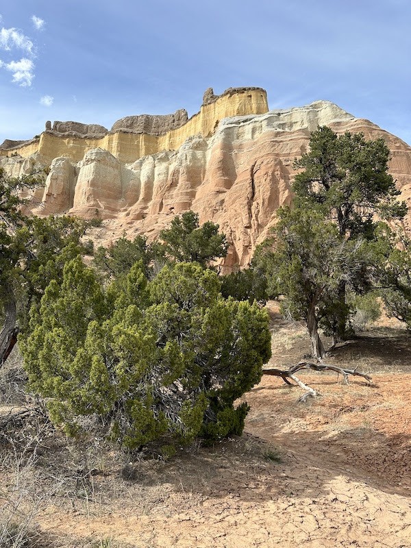 camping in New Mexico