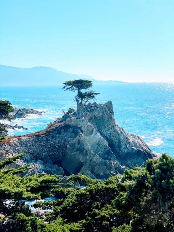 10 Amazing Places to Visit in Northern California - Be My Travel Muse