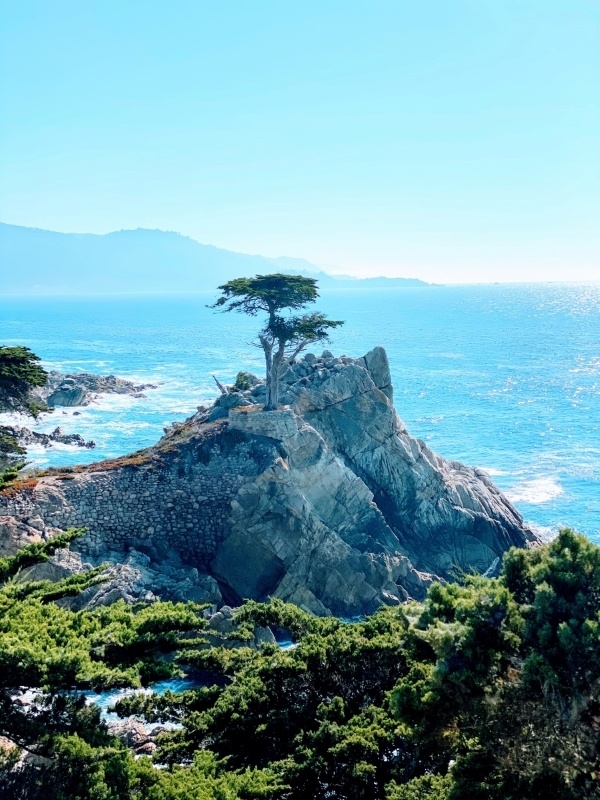 places to visit in northern California