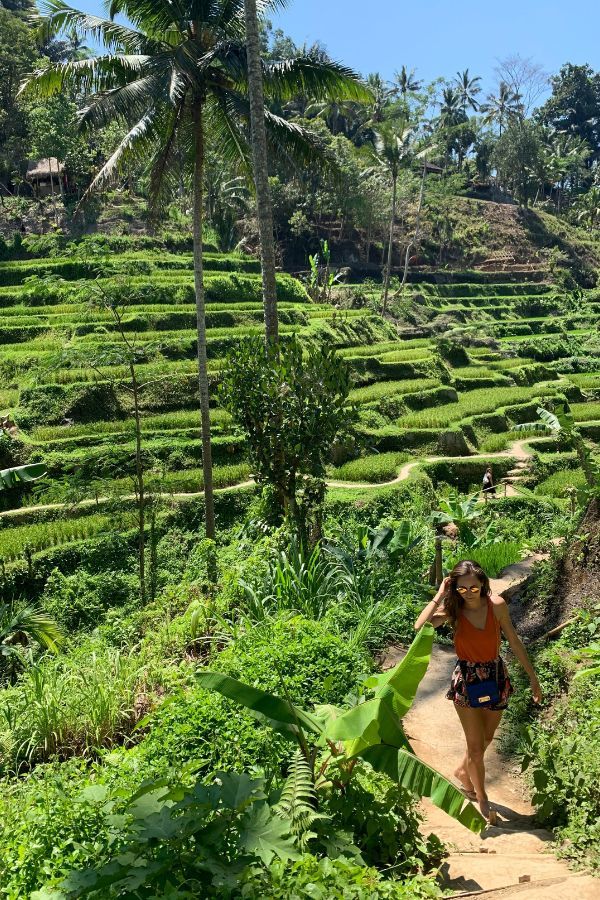 A woman walking along a narrow path at the Tegallalang Rice Terraces in Bali, surrounded by the lush greenery of the terraced paddies and tropical palm trees under a clear blue sky.