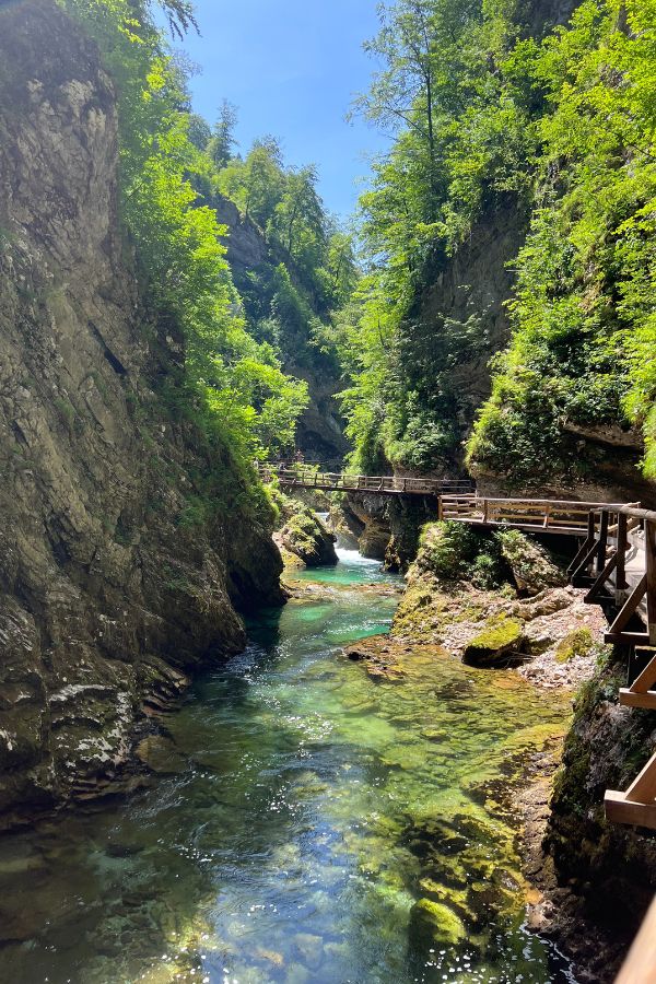 Vintgar Gorge in Slovenia