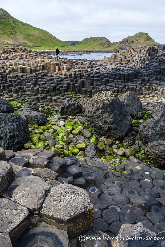 solo female travel ireland the giant causeway