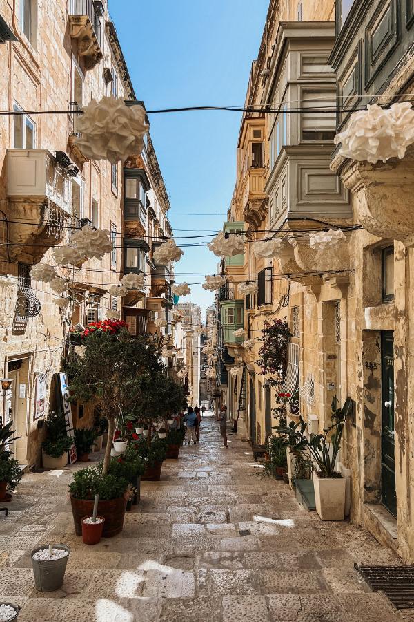 A beautiful stone street lined with limestone buildings and potted green trees down the center of the road in Valletta, Malta.