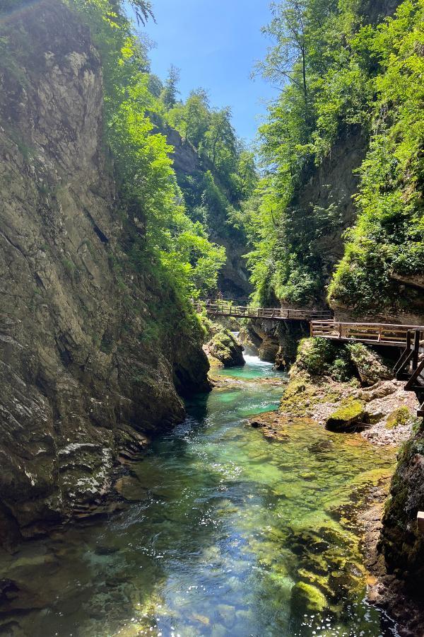 A scenic view of the deep gorge in Triglav National Park in Slovenia featuring high cliffs on either side covered in greenery, and an elevated wooden walkway that hovers over the piercing blue river.