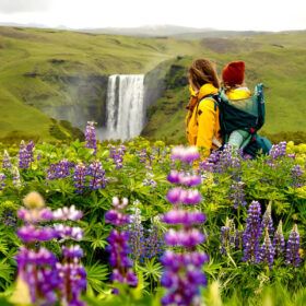 holland america cruise iceland