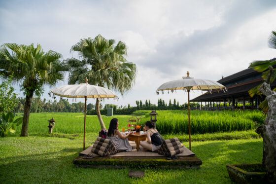 tanah gajah ubud review