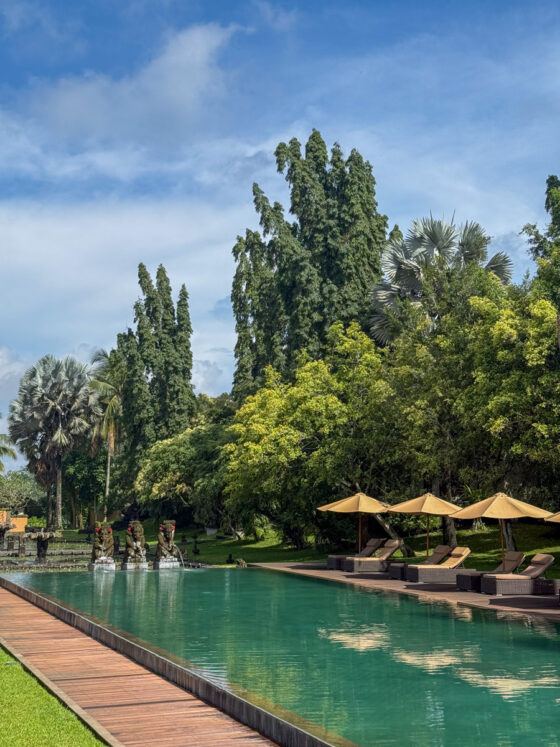tanah gajah ubud review