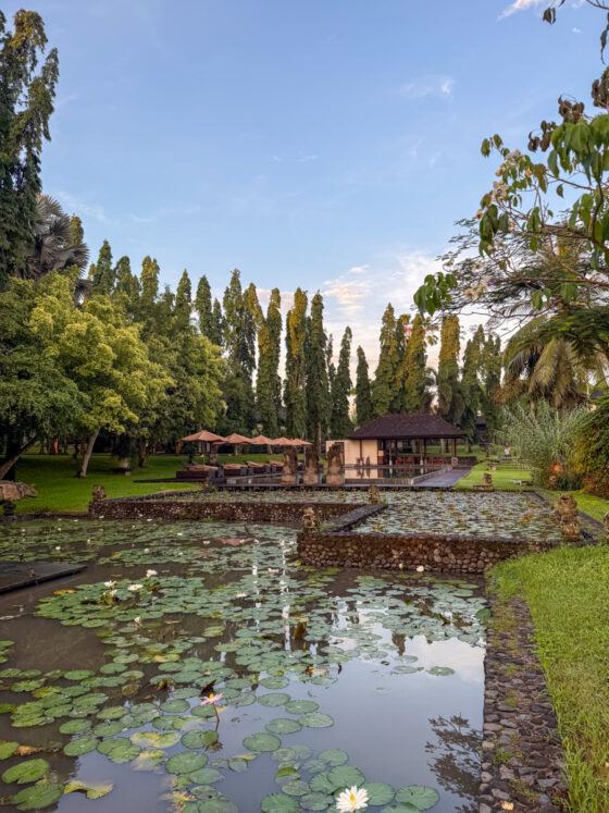 tanah gajah ubud review